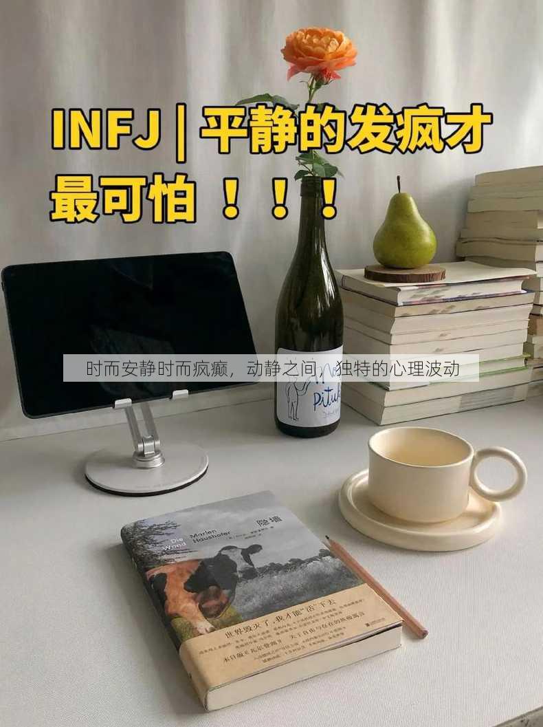 时而安静时而疯癫