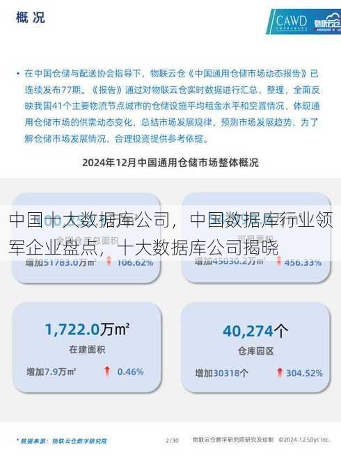 中国十大数据库公司