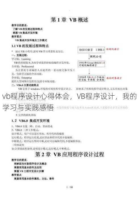 vb程序设计心得体会