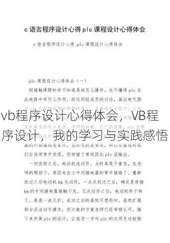 vb程序设计心得体会