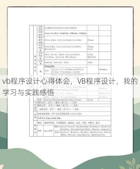 vb程序设计心得体会