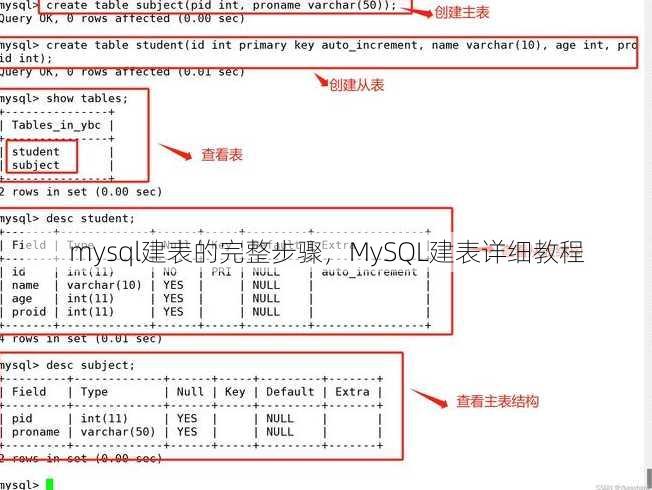 mysql建表的完整步骤