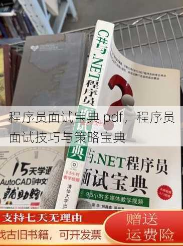 程序员面试宝典 pdf