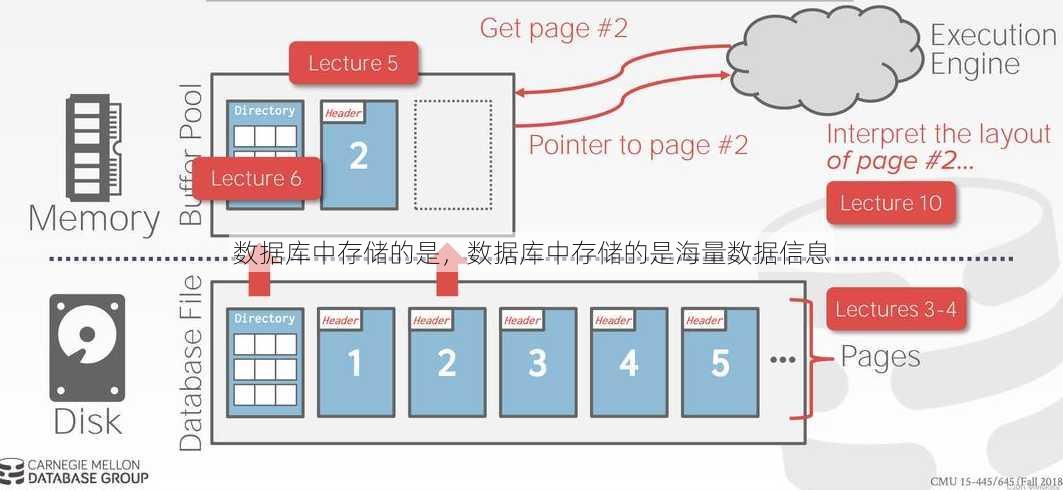 数据库中存储的是