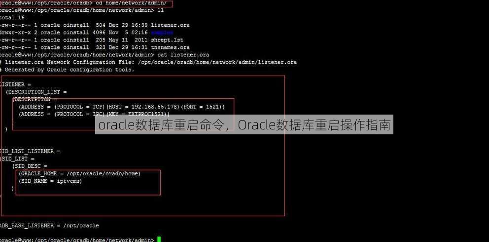 oracle数据库重启命令
