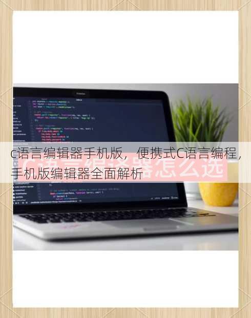 c语言编辑器手机版