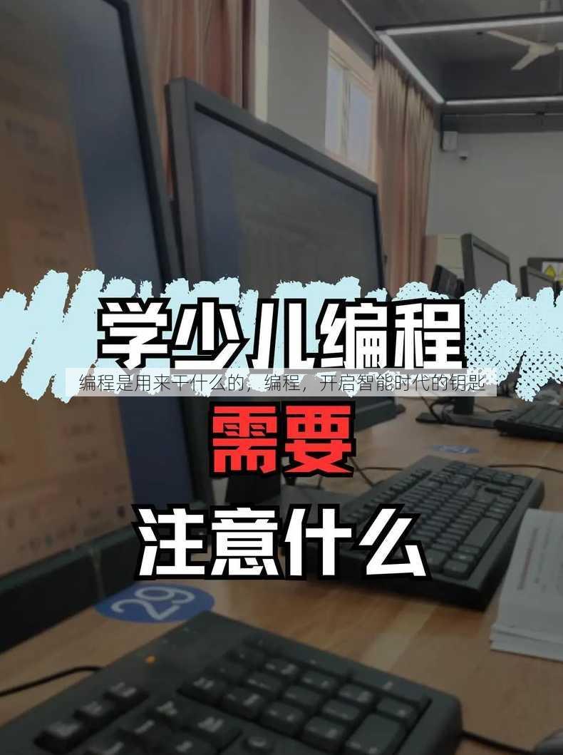 编程是用来干什么的