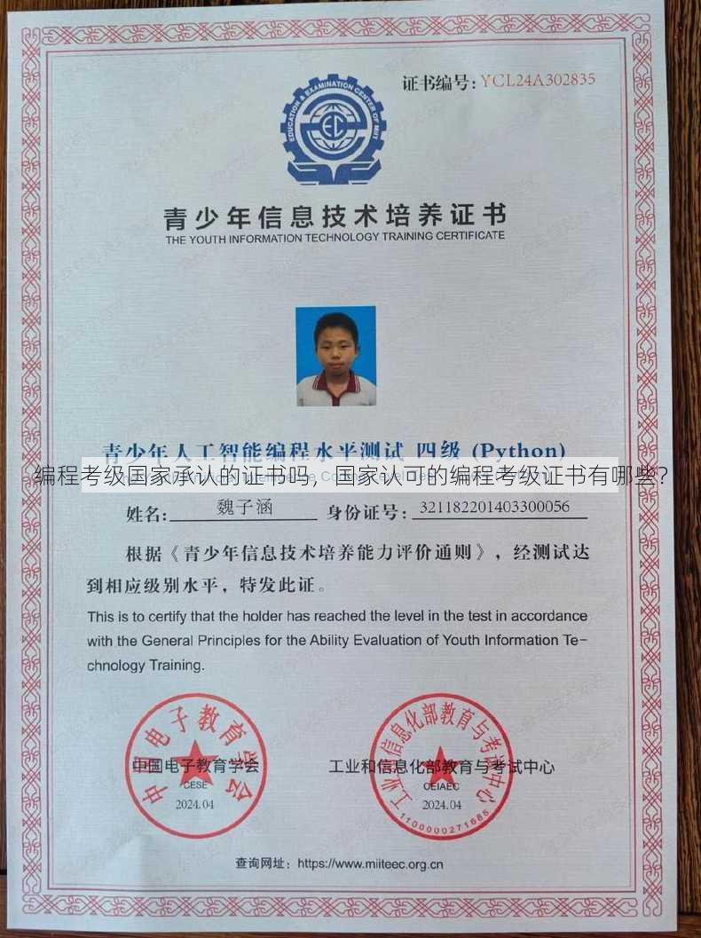 编程考级国家承认的证书吗