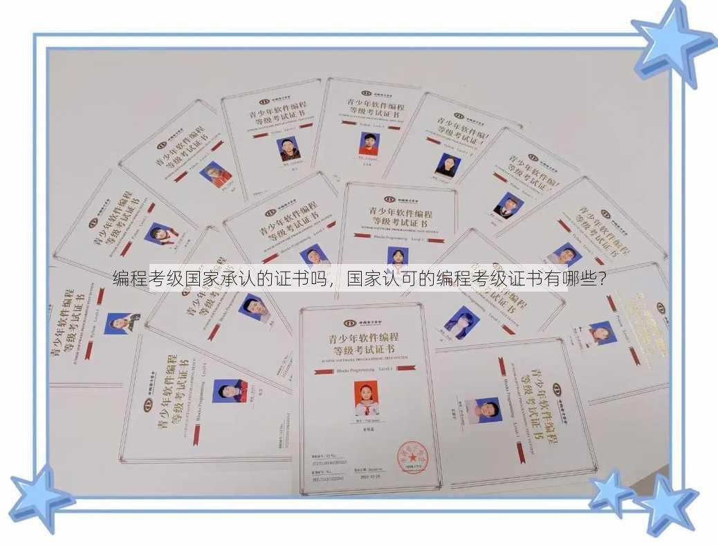 编程考级国家承认的证书吗