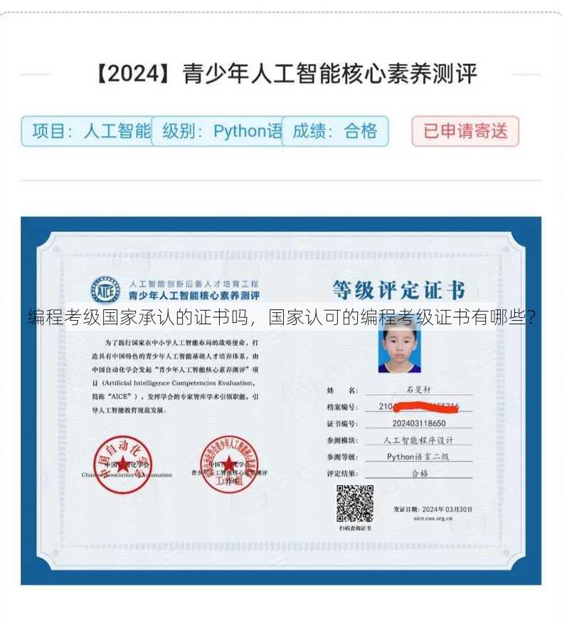 编程考级国家承认的证书吗