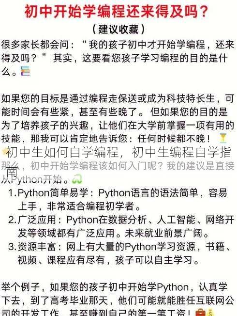 初中生如何自学编程