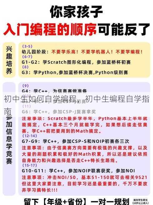 初中生如何自学编程