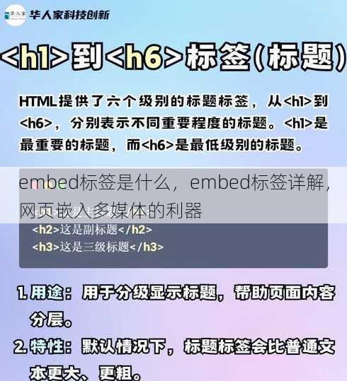 embed标签是什么