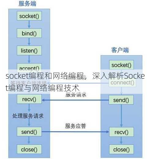socket编程和网络编程