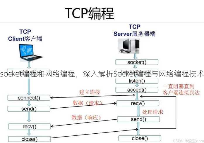 socket编程和网络编程