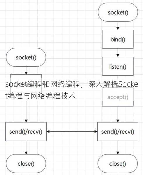 socket编程和网络编程