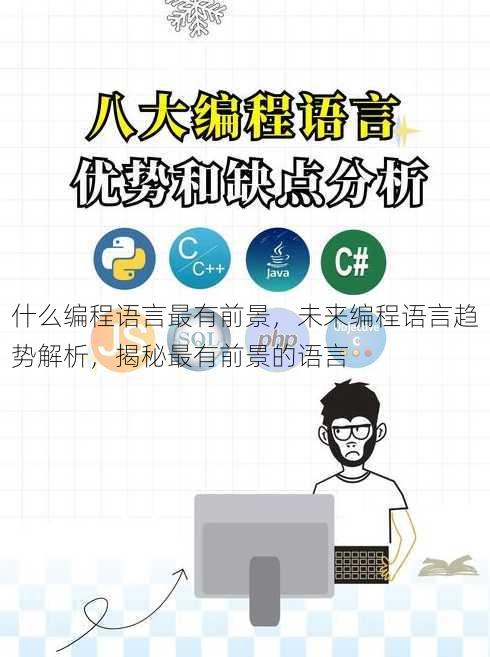 什么编程语言最有前景