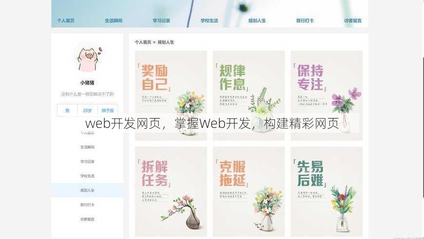 web开发网页