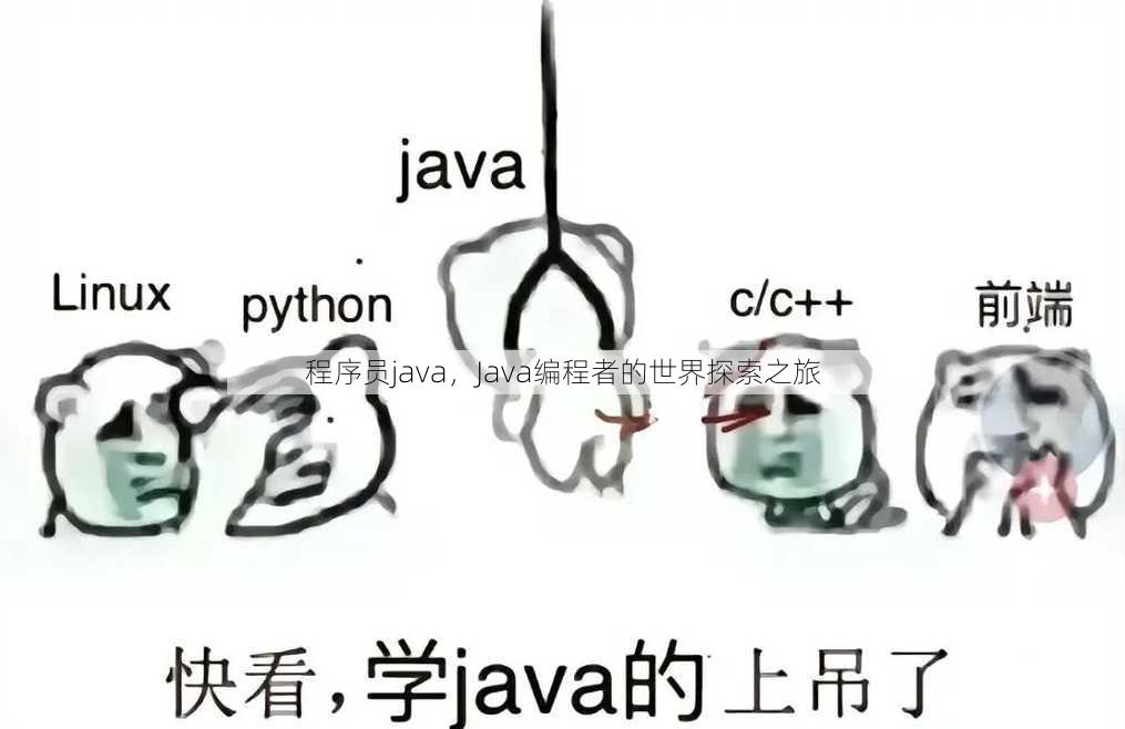 程序员java