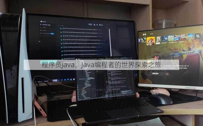 程序员java