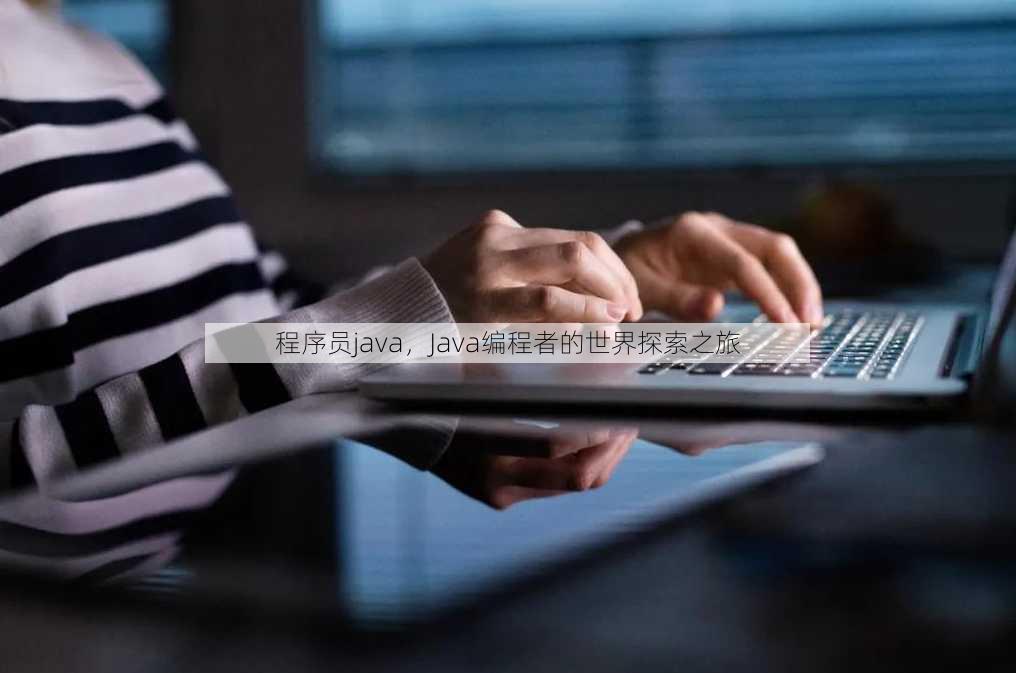 程序员java