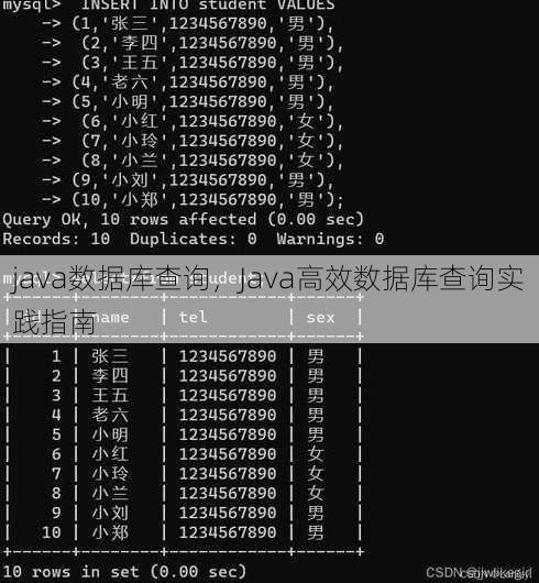 java数据库查询