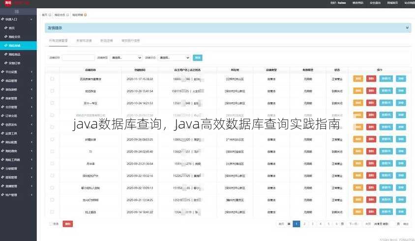 java数据库查询