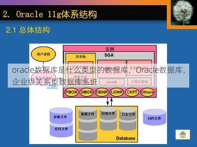 oracle数据库是什么类型的数据库