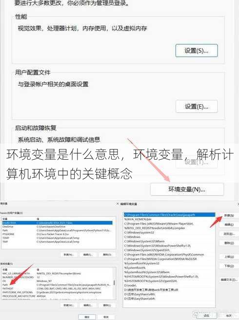 环境变量是什么意思