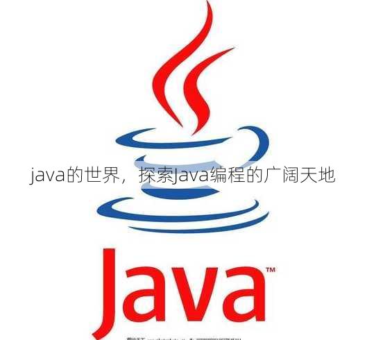 java的世界
