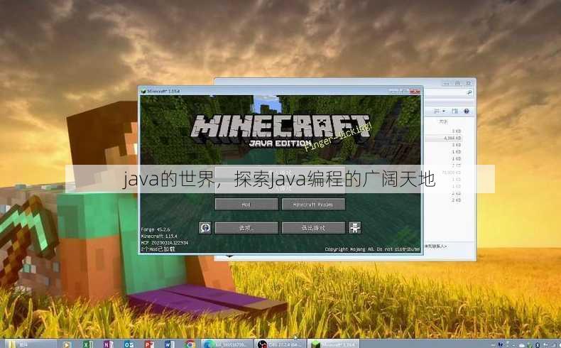 java的世界