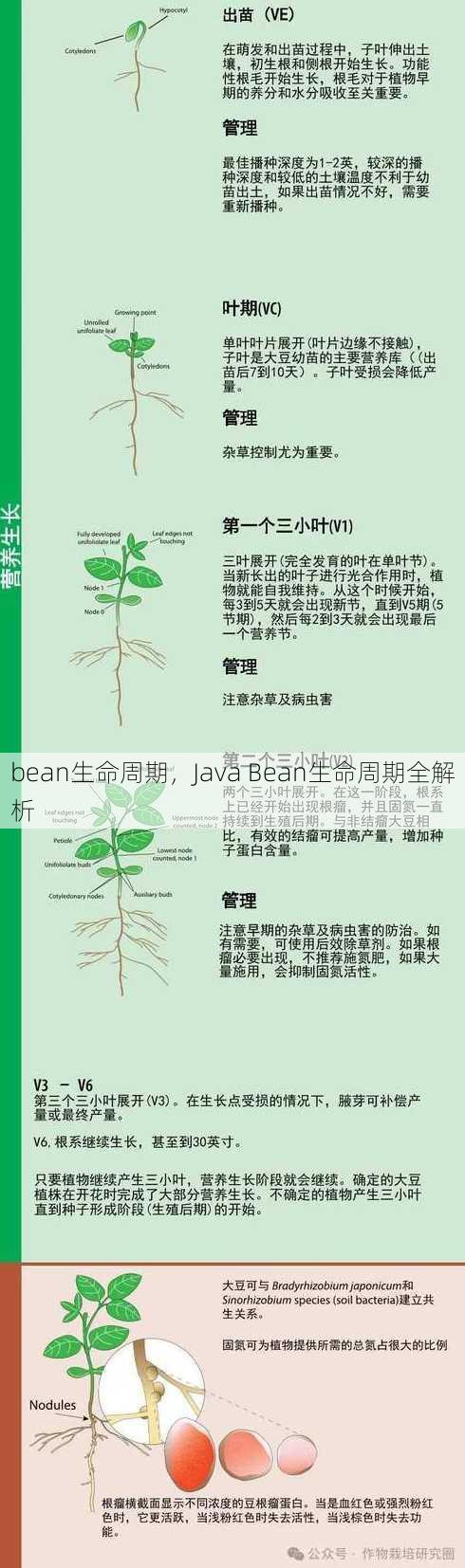 bean生命周期