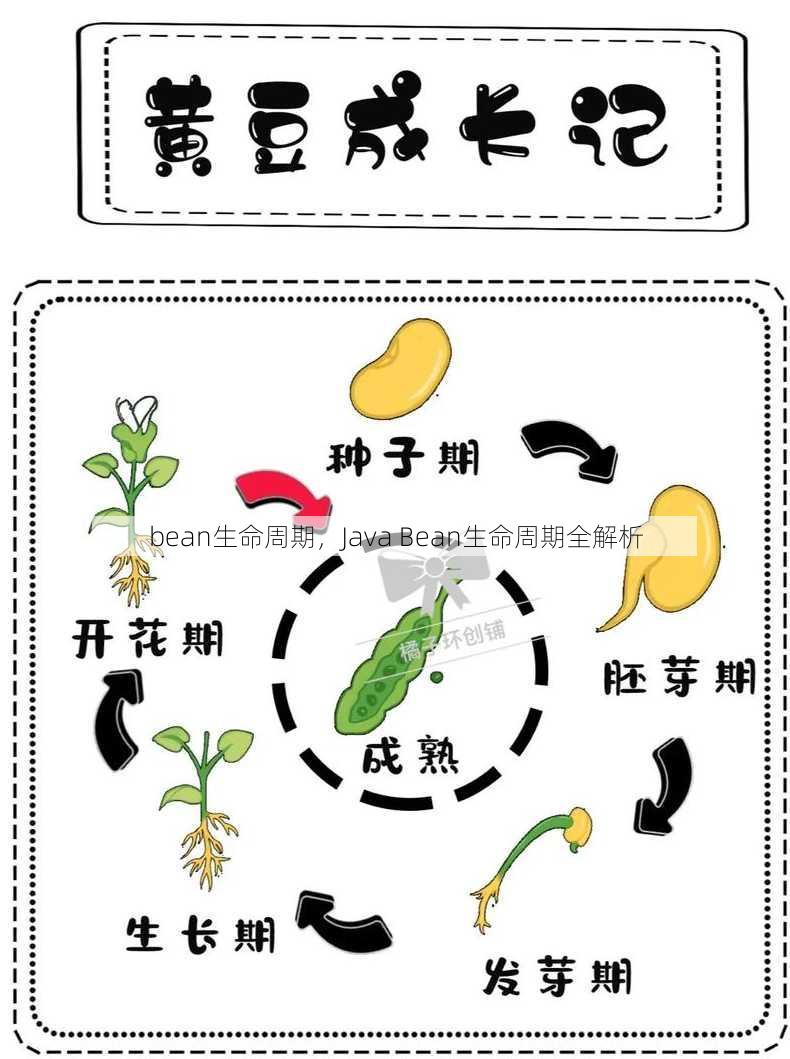 bean生命周期