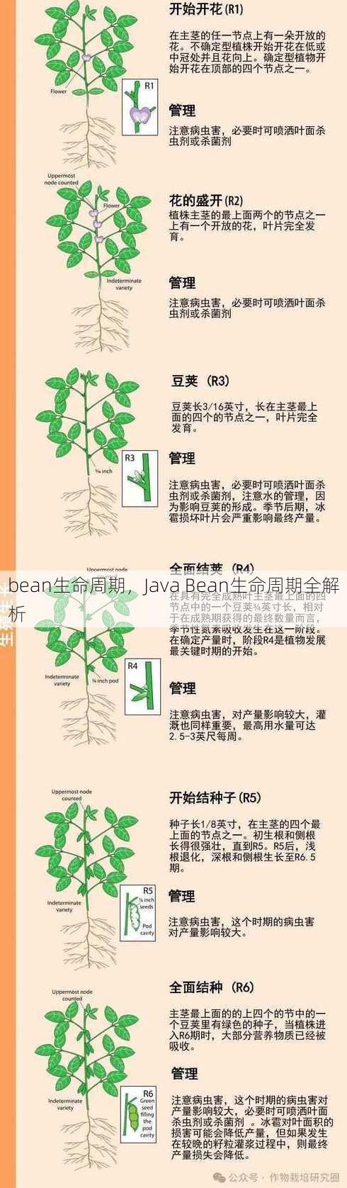 bean生命周期