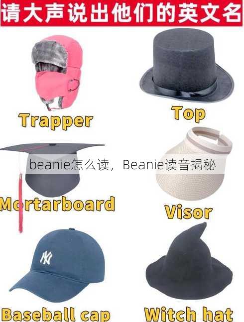 beanie怎么读