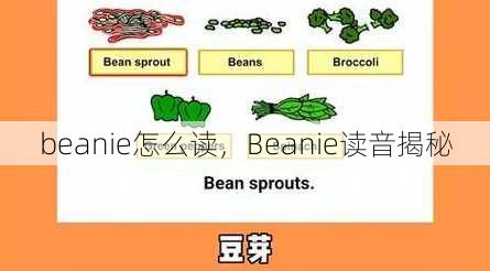 beanie怎么读
