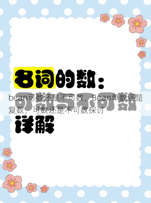 bean可数还是不可数