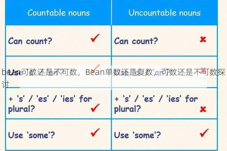 bean可数还是不可数