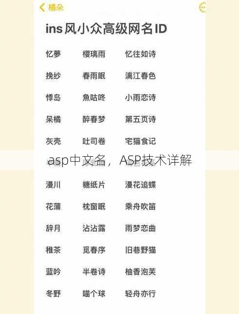 asp中文名