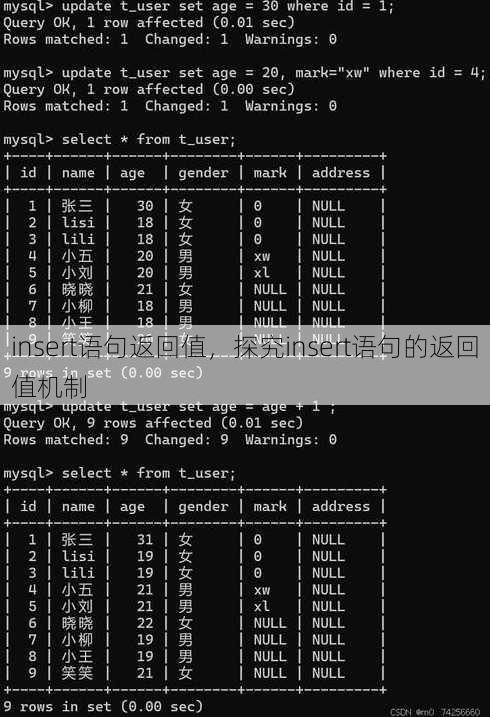 insert语句返回值