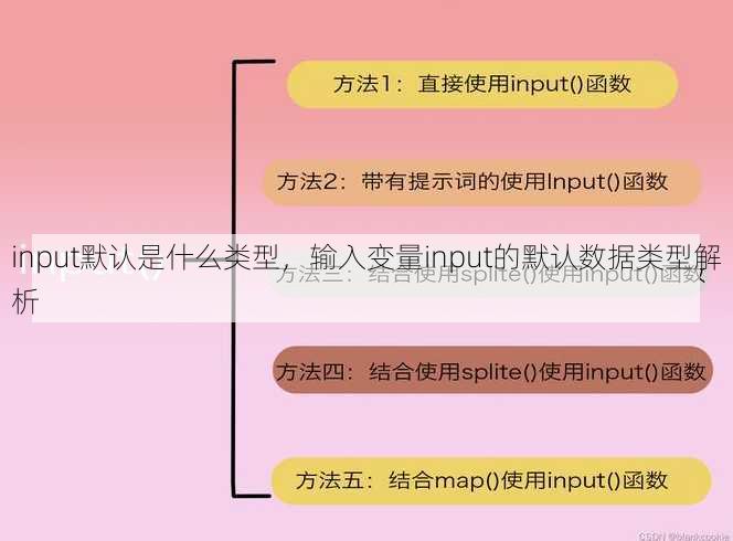 input默认是什么类型
