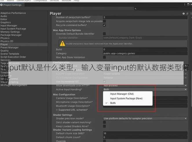 input默认是什么类型