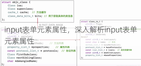 input表单元素属性