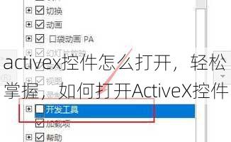 activex控件怎么打开