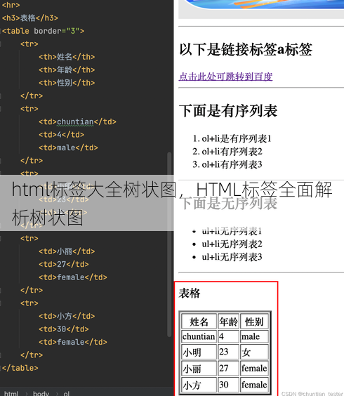 html标签大全树状图