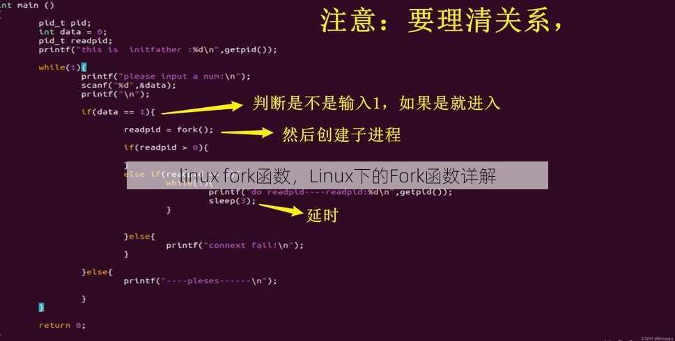 linux fork函数