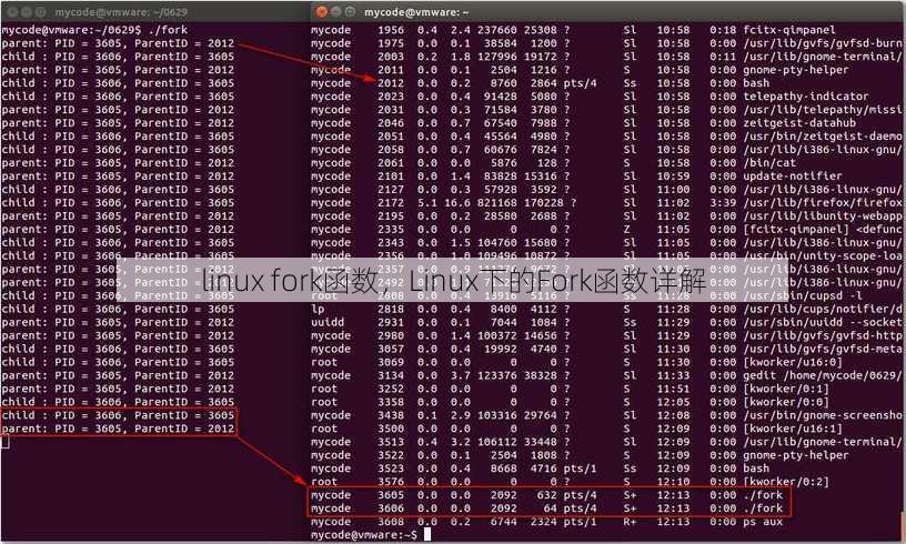 linux fork函数