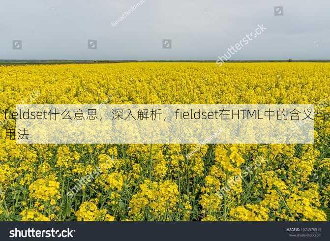 fieldset什么意思