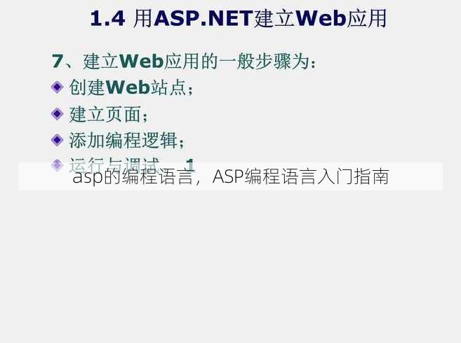 asp的编程语言