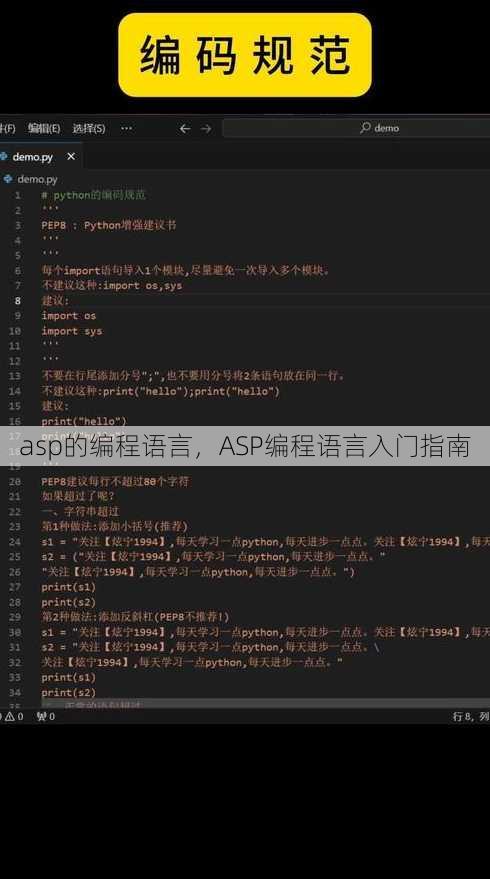 asp的编程语言